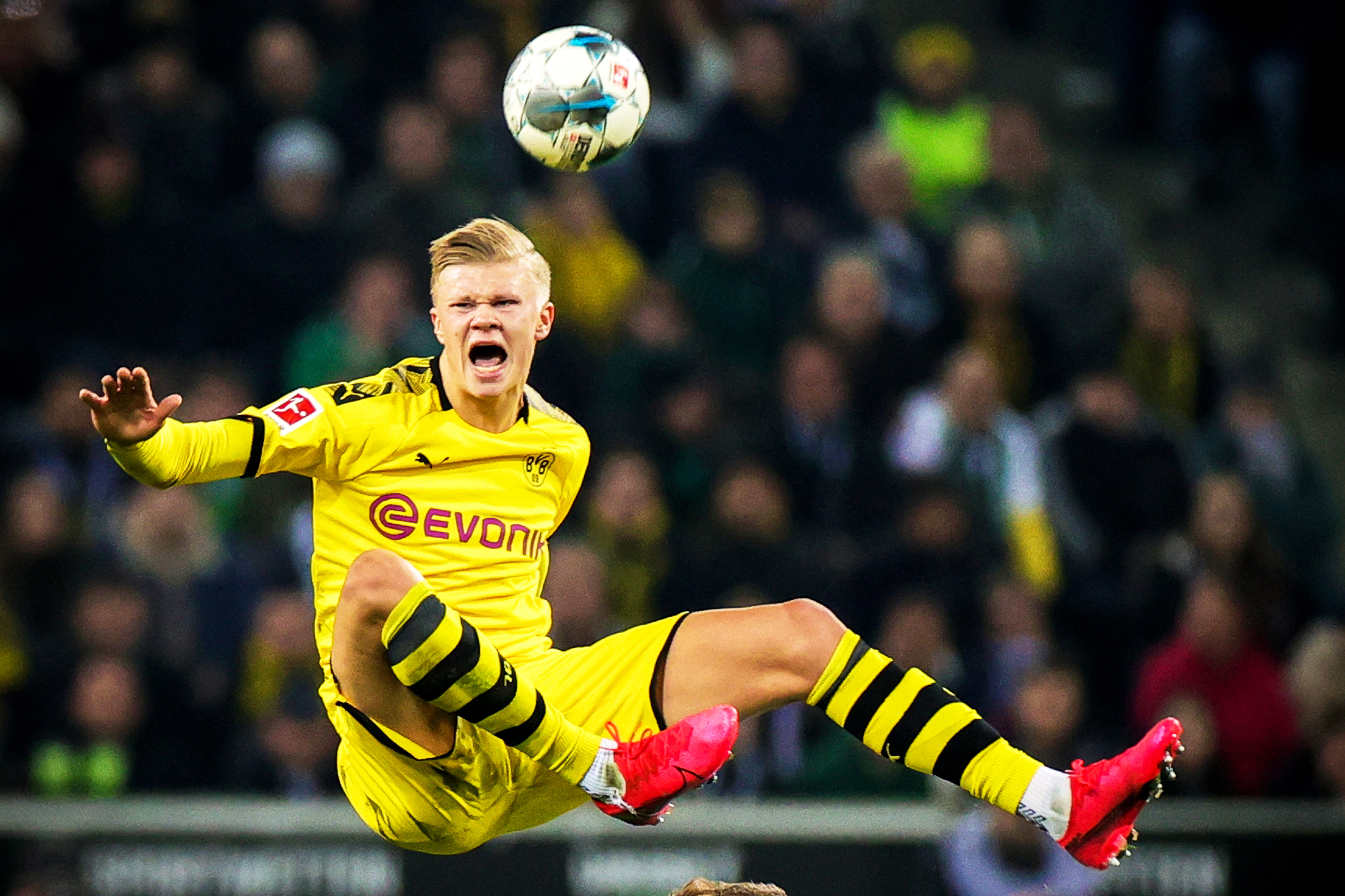 然而舆论之 然而舆论之